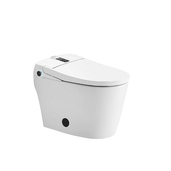 Smart toilet rear wash bidet spray pattern demonstration showing adjustable water pressure stream