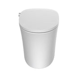 Cascada Cliff One-Piece Smart Bidet Toilet, Auto Flush, Heated Seat & Warm Air Dryer