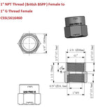 Technical drawing of a plumbing fitting with dimensions and thread specifications.