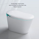 Sleek closed smart toilet with soft lighting accents and text describing multi-function design and pleasure experience.