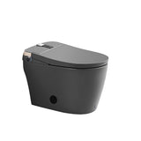 304 stainless steel bidet nozzle material detail on smart toilet showing durable corrosion-resistant construction