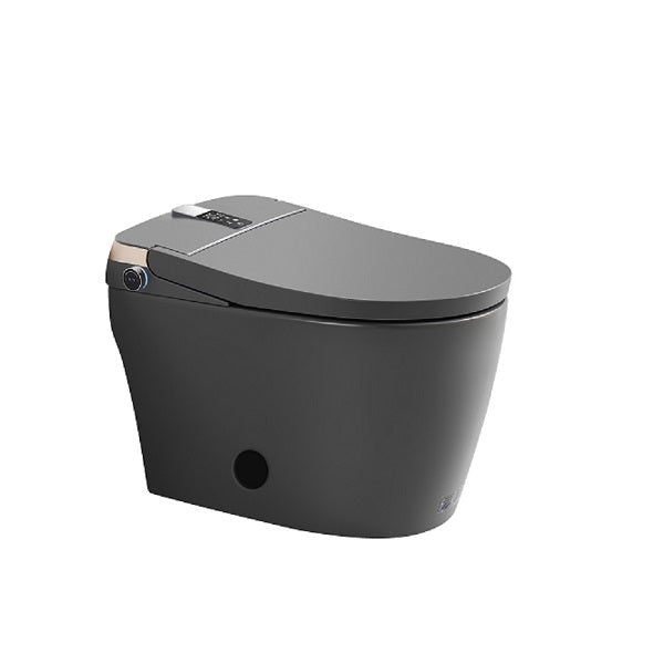 304 stainless steel bidet nozzle material detail on smart toilet showing durable corrosion-resistant construction