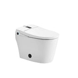Smart toilet rear wash bidet spray pattern demonstration showing adjustable water pressure stream
