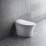 Cascada Showers Discovery DLX Remote Control Smart Bidet Toilet - Cascada Showers