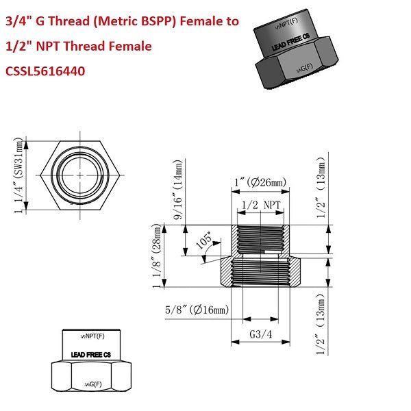 G Thread (Metric BSPP) Female to NPT Female Lead-Free Adapter (3/4" x 1/2") - Cascada Showers