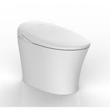 Remote Control Self-Cleaning Antibiosis Smart Intelligent Toilet - Cascada Showers